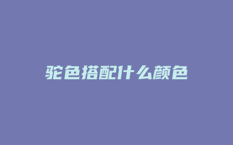 驼色搭配什么颜色