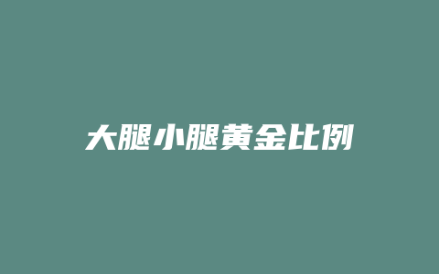 大腿小腿黄金比例