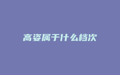 高姿属于什么档次