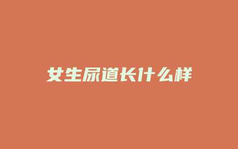 女生尿道长什么样