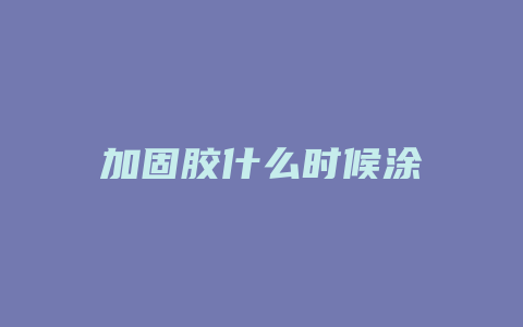 加固胶什么时候涂