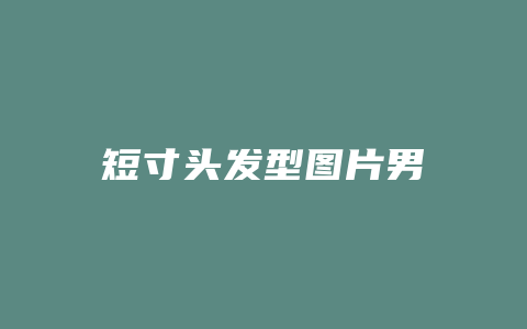 短寸头发型图片男