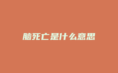 脑死亡是什么意思