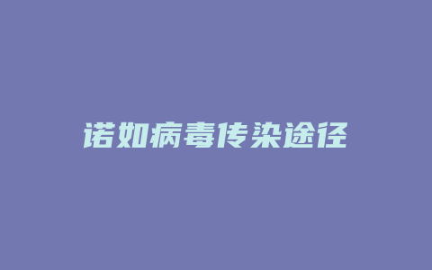 诺如病毒传染途径