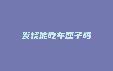 发烧能吃车厘子吗