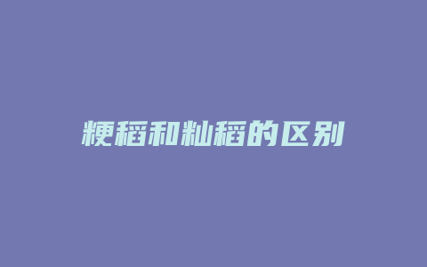 粳稻和籼稻的区别