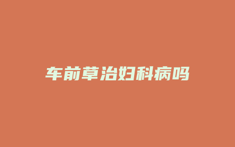 车前草治妇科病吗