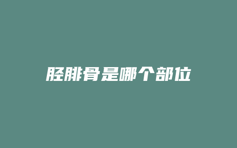 胫腓骨是哪个部位