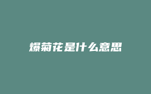 爆菊花是什么意思