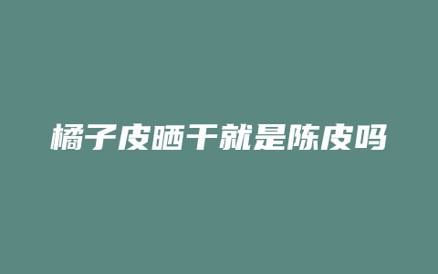 橘子皮晒干就是陈皮吗