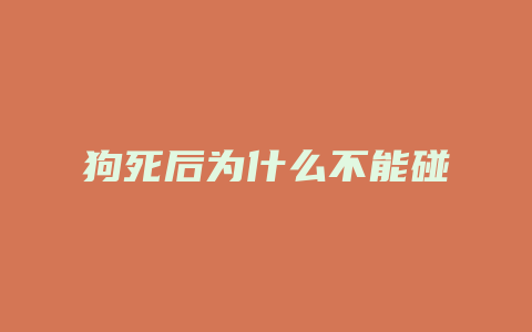 狗死后为什么不能碰