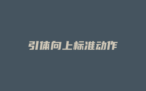 引体向上标准动作