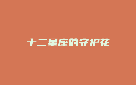 十二星座的守护花