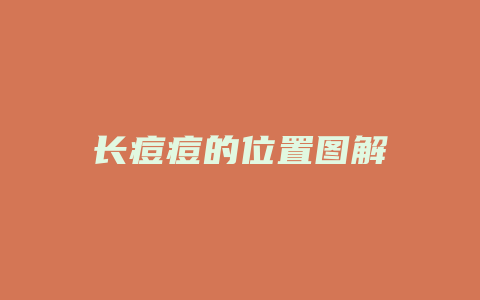 长痘痘的位置图解