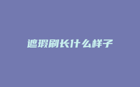 遮瑕刷长什么样子