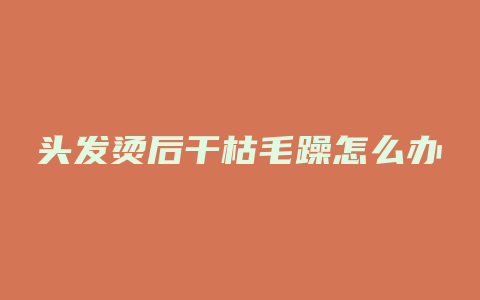 头发烫后干枯毛躁怎么办
