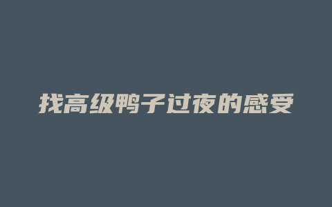 找高级鸭子过夜的感受