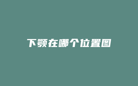 下颚在哪个位置图