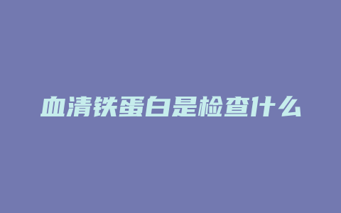 血清铁蛋白是检查什么