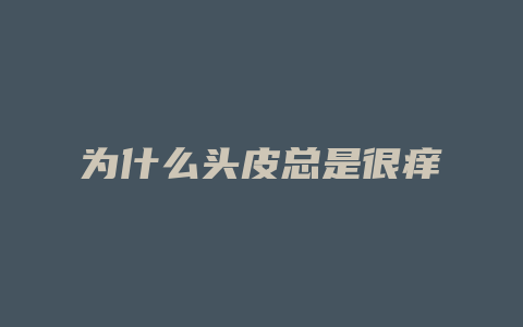 为什么头皮总是很痒