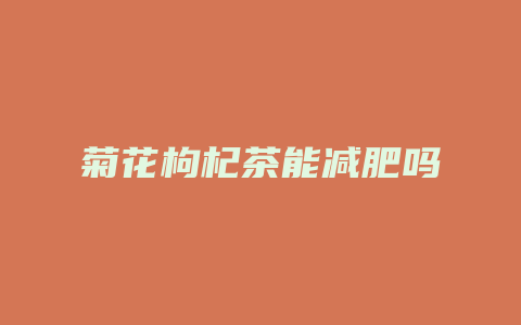菊花枸杞茶能减肥吗
