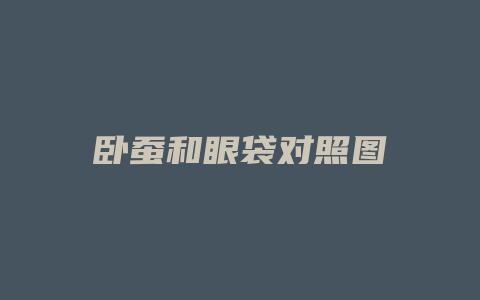 卧蚕和眼袋对照图