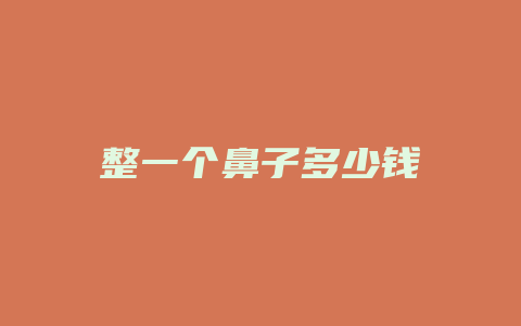 整一个鼻子多少钱
